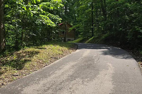 Little Pine Cabin drive in